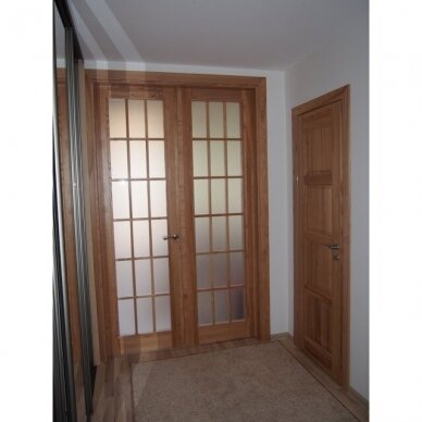 Modernios durys su stiklu ir bagetais
