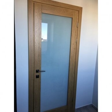 modernios durys su  vienu stiklu 1