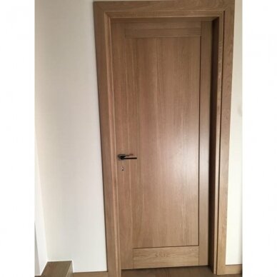 modernios durys su vienu filingu