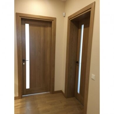 modernios durys su vienu filingu ir siauru vertikaliu stiklu 1